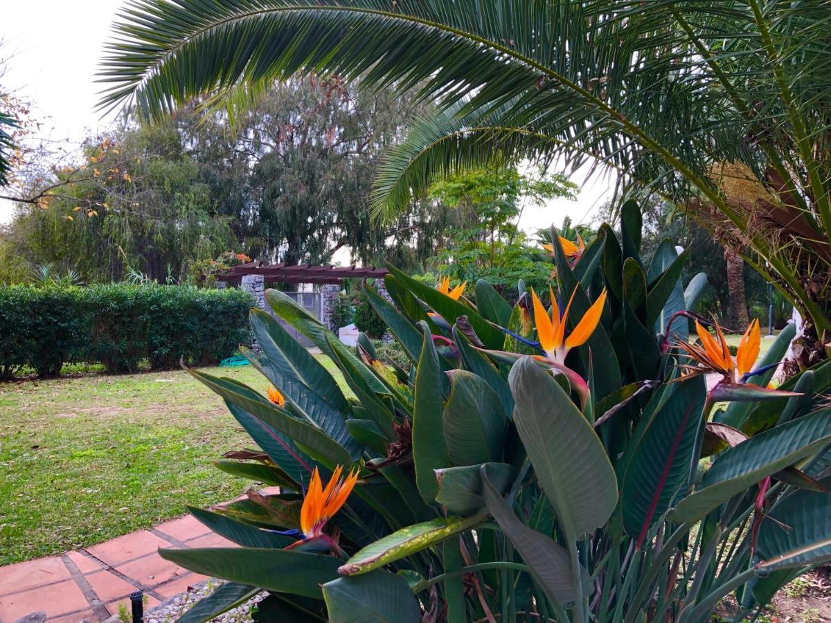 Puerto Banus Apartamento Fantastico Marbella Dış mekan fotoğraf